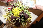 IMG_2952.JPG