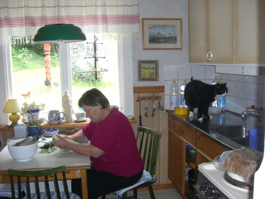 CIMG0770.JPG